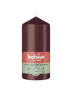 10 stuks witte stompkaarsen 120/60 van Bolsius extra goedkoop in een voordeel verpakking