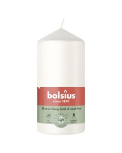 10 stuks witte stompkaarsen 120/60 van Bolsius extra goedkoop in een voordeel verpakking