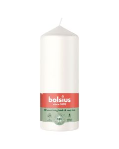 10 stuks witte stompkaarsen 120/60 van Bolsius extra goedkoop in een voordeel verpakking