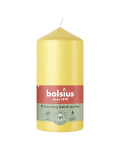 10 stuks witte stompkaarsen 120/60 van Bolsius extra goedkoop in een voordeel verpakking