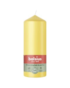 10 stuks witte stompkaarsen 120/60 van Bolsius extra goedkoop in een voordeel verpakking