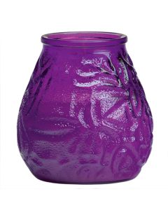 Horeca lowboys in de paarse kleur 100/100 48 stuks